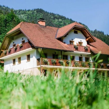 Na Logu - Farm Stay Ambroz Gregorc Solčava Buitenkant foto