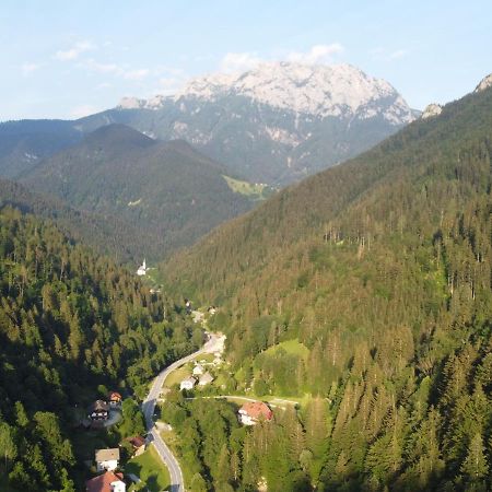 Na Logu - Farm Stay Ambroz Gregorc Solčava Buitenkant foto