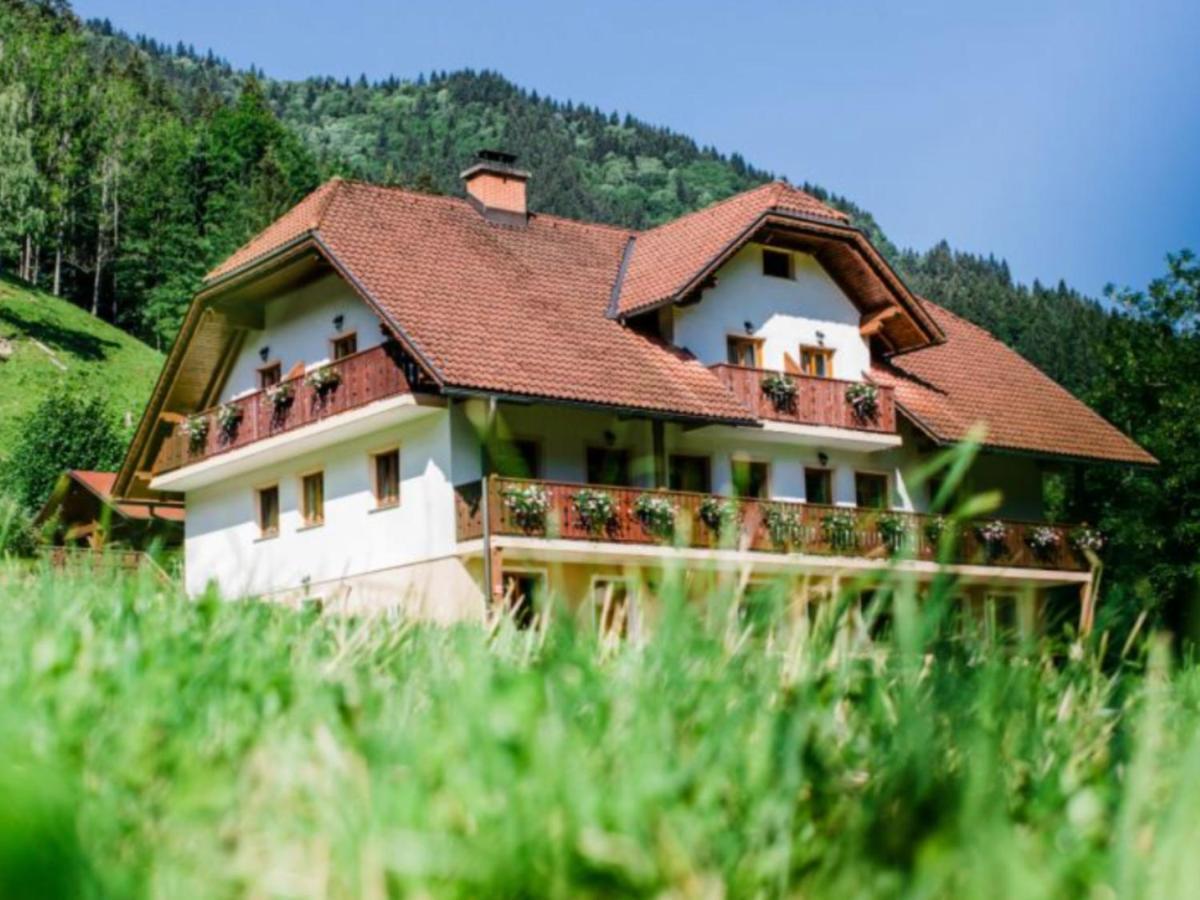 Na Logu - Farm Stay Ambroz Gregorc Solčava Buitenkant foto
