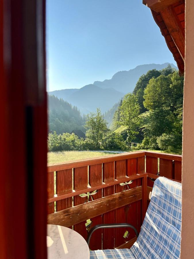 Na Logu - Farm Stay Ambroz Gregorc Solčava Buitenkant foto