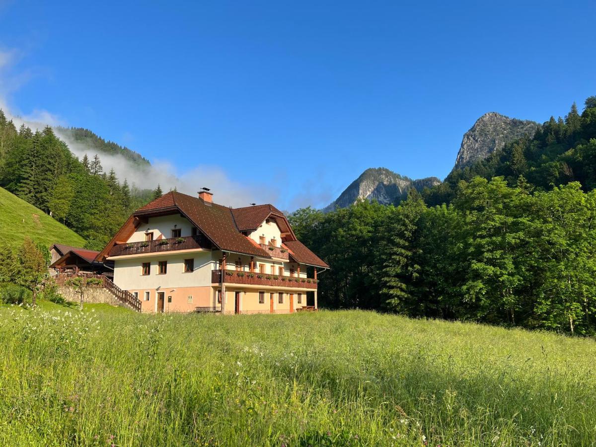 Na Logu - Farm Stay Ambroz Gregorc Solčava Buitenkant foto