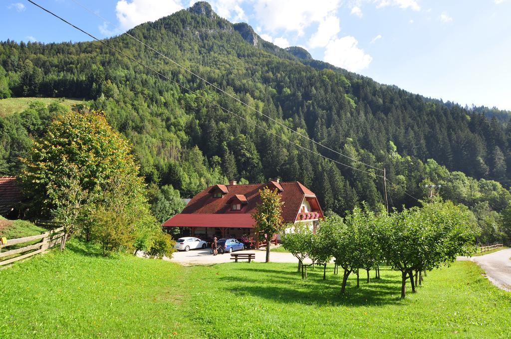 Na Logu - Farm Stay Ambroz Gregorc Solčava Buitenkant foto