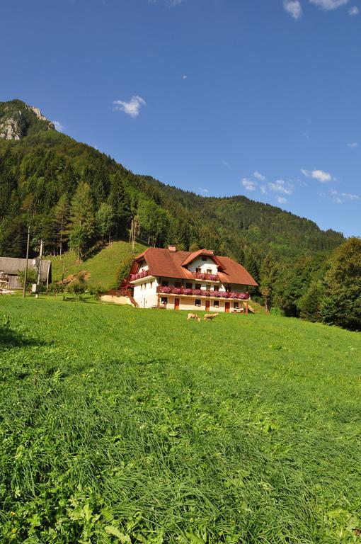 Na Logu - Farm Stay Ambroz Gregorc Solčava Buitenkant foto