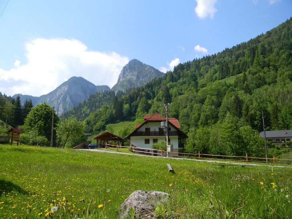 Na Logu - Farm Stay Ambroz Gregorc Solčava Buitenkant foto