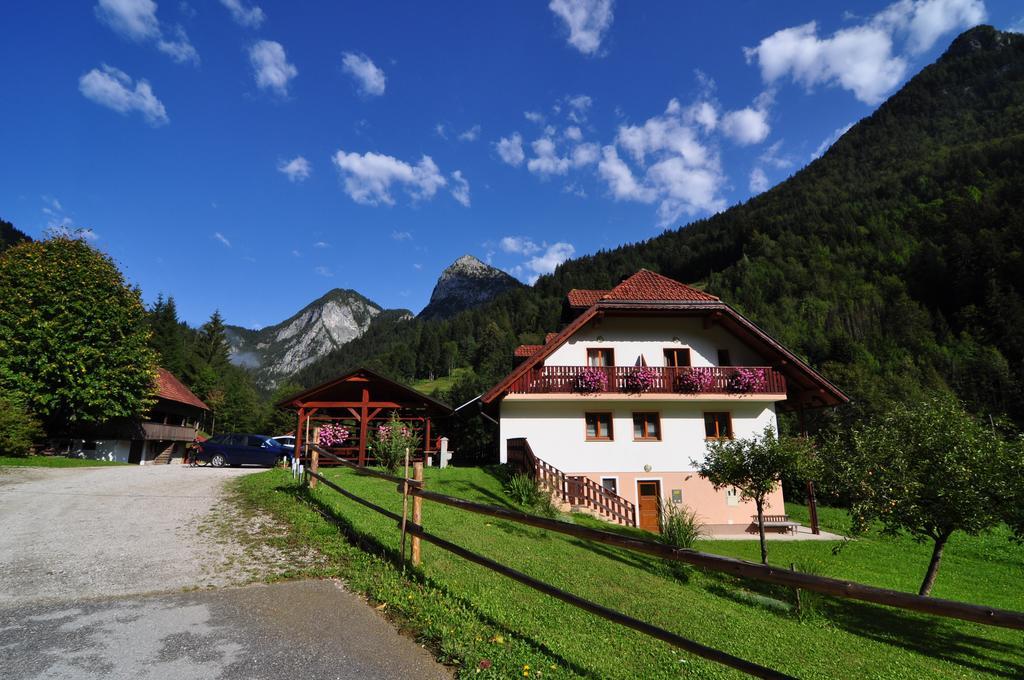 Na Logu - Farm Stay Ambroz Gregorc Solčava Buitenkant foto