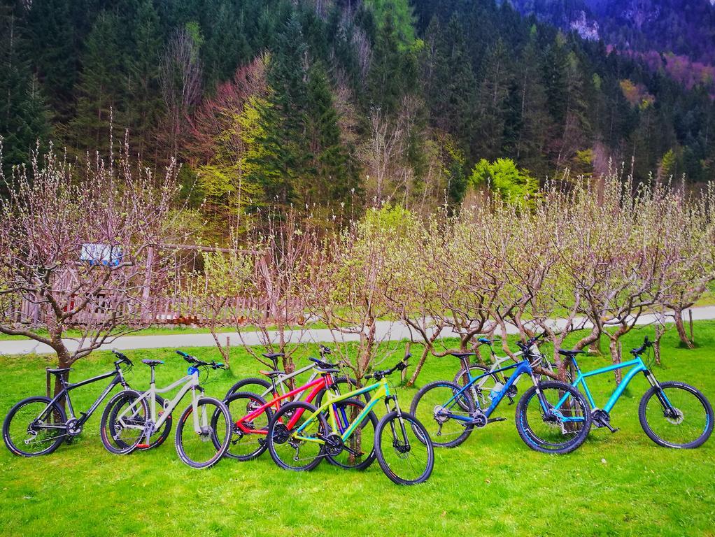 Na Logu - Farm Stay Ambroz Gregorc Solčava Buitenkant foto